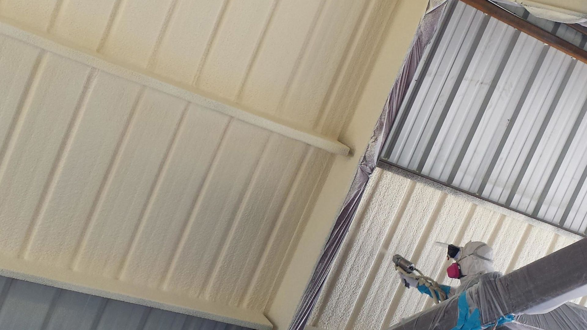 BASF Elastospray LWP